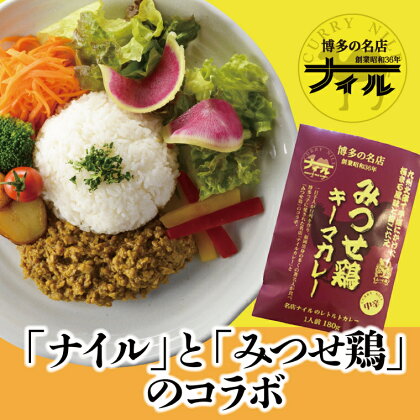 博多の名店ナイル　みつせ鶏キーマカレー10パックセット（DR002）