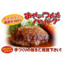 【ふるさと納税】おやじのつくったハンバーグ(C5)