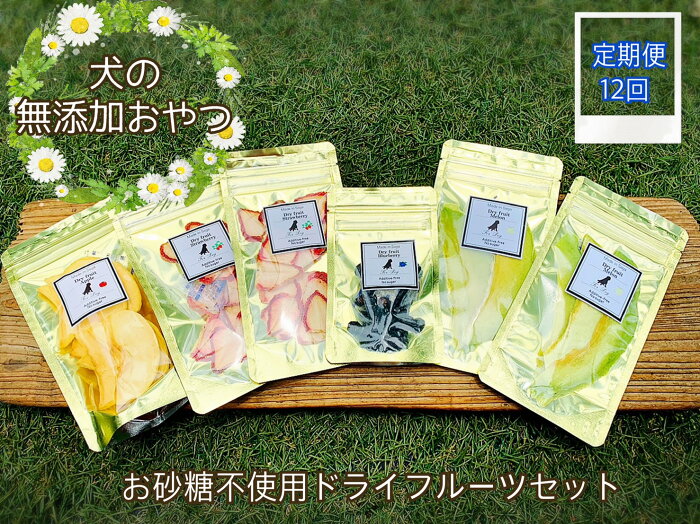 【ふるさと納税】犬の無添加おやつ☆お砂糖不使用ドライフルーツ☆旬の果物6袋【定期便】全12回（FB011）