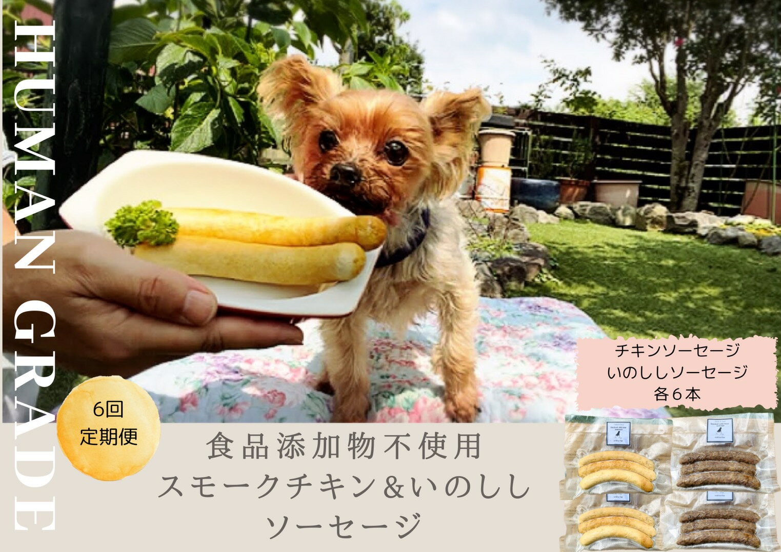 48位! 口コミ数「0件」評価「0」 犬の無添加おかず☆燻製の香りがたまらないスモークチキン＆いのししソーセージ【6回定期便】（FB021）