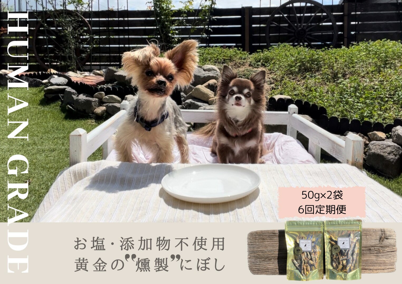 【ふるさと納税】犬と猫の無添加おやつ☆お塩不使用☆黄金の燻製にぼし【6回定期便】（FB064）