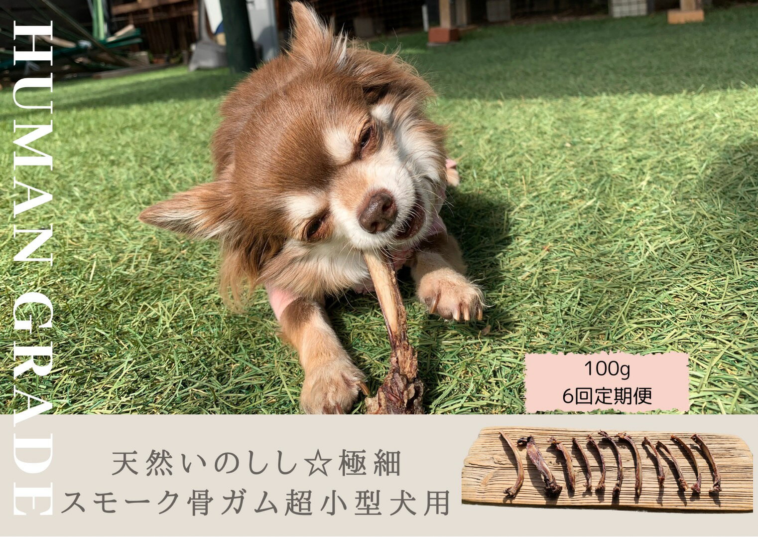 【ふるさと納税】超小型犬向け☆天然いのししのスモーク骨ガム100g【定期便】全6回（FB078）