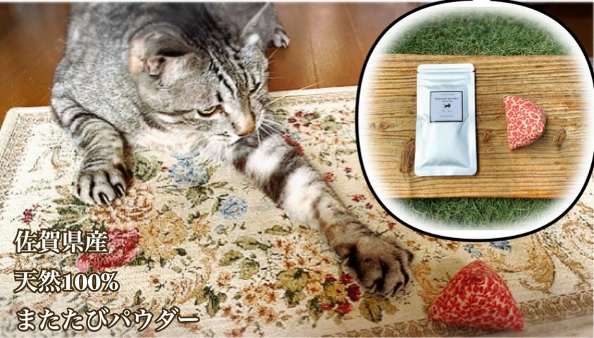 猫用☆天然100%無添加・ 無農薬またたびパウダー&蹴りぐるみ1個