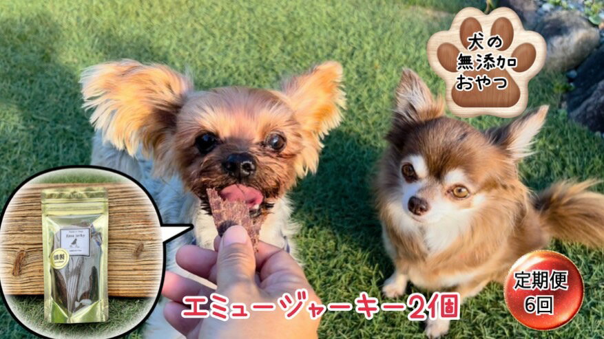 【ふるさと納税】犬の無添加おやつ☆ダイエット中のわんちゃんにも嬉しい高タンパク＆低脂肪のエミュージャーキー2個【定期便6回】（FB109）