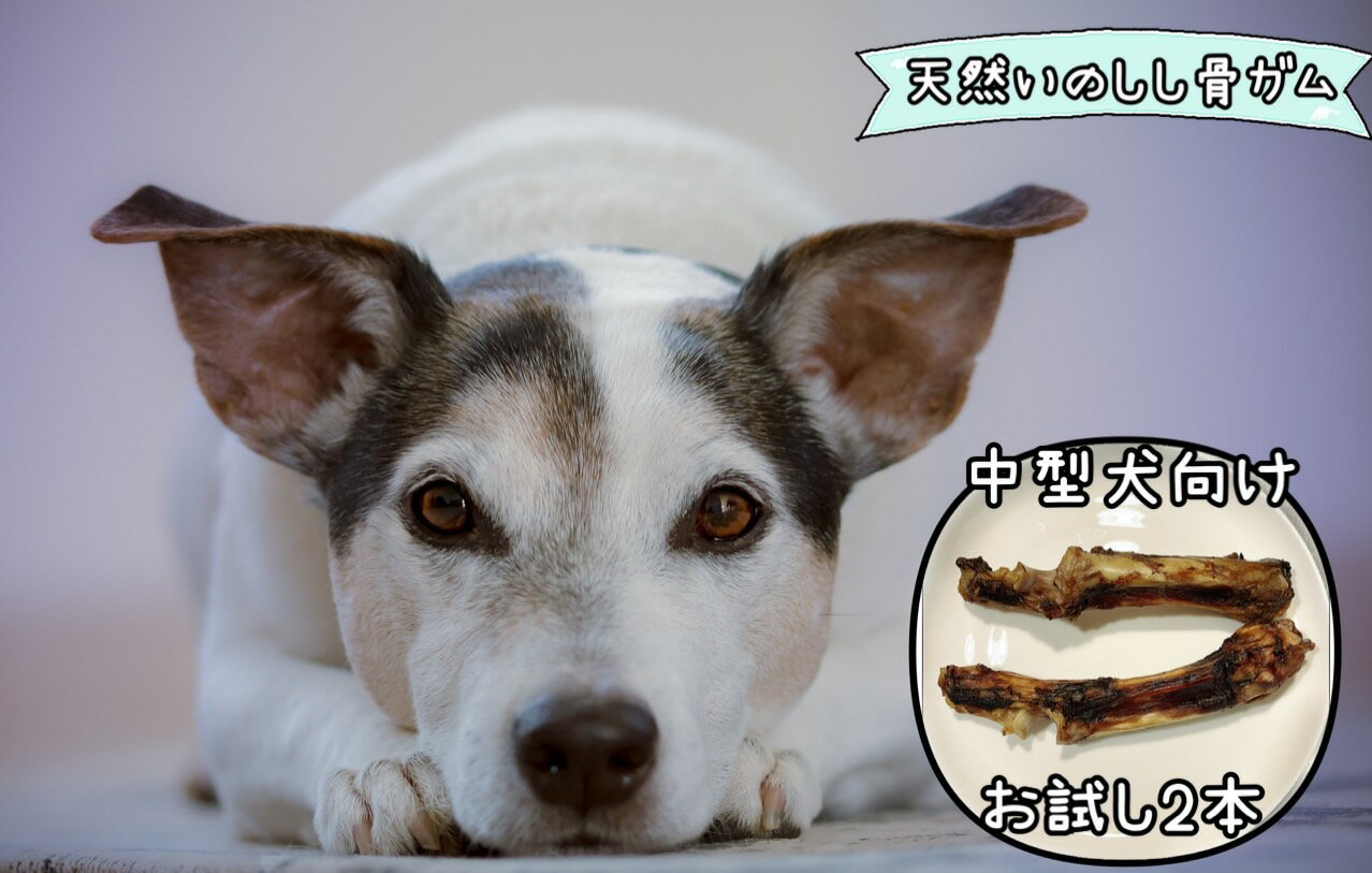 [お試し2本]中型犬向け☆天然いのししのスモーク骨ガム