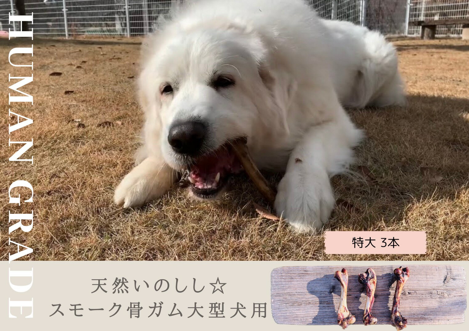 【ふるさと納税】大型犬向け☆天然いのししのスモーク骨ガム3本 FB142 