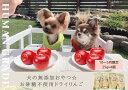 17位! 口コミ数「0件」評価「0」【10月～5月末まで順次発送】犬の無添加おやつ☆お砂糖不使用ドライりんご4個（FB148）