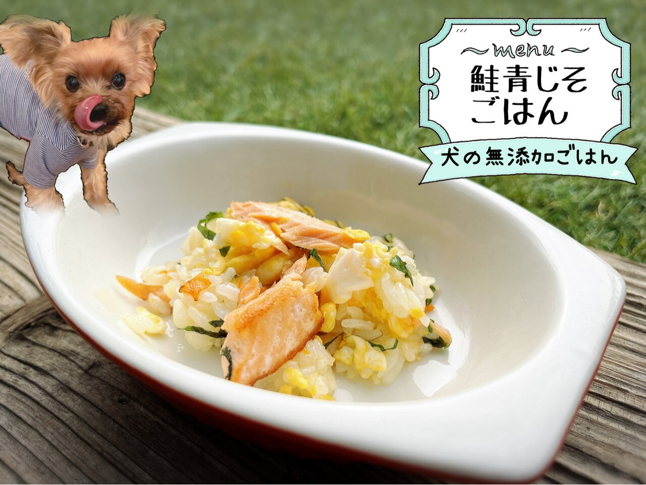 犬の無添加手づくりごはん☆鮭青じそごはん