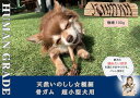 【ふるさと納税】超小型犬向け☆天然いのししの骨ガム100g(FB169)