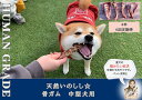 【ふるさと納税】中型犬向け☆天然いのしし骨ガム4本(300〜400g)【定期便】全6回(FB176)