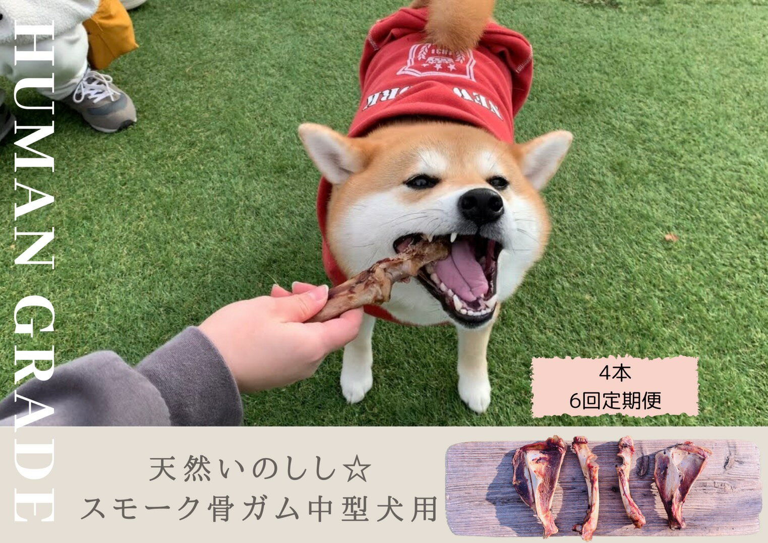 【ふるさと納税】中型犬向け☆天然いのししのスモーク骨ガム4本（300～400g）【定期便】全6回（FB084）