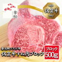 【ふるさと納税】佐賀牛すね肉ブロック500g(BL069)