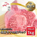 【ふるさと納税】佐賀牛すね肉ブロック1,000g(BL070)