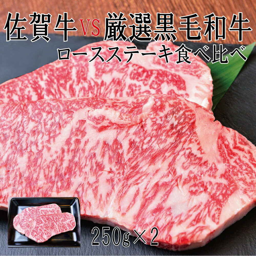 【ふるさと納税】佐賀牛×厳選黒毛和牛 ロースステーキ食べ比べ 250g×2(DX031)
