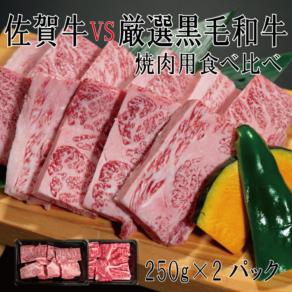 佐賀牛×厳選黒毛和牛 焼肉用食べ比べ250g×2