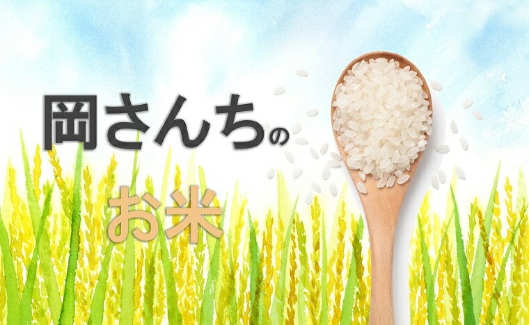 【ふるさと納税】佐賀県みやき町農家岡さんちのさがびより10kg　白米 国産 佐賀県産 家庭用 お取り寄せ 農家直送 送料無料（BE005）