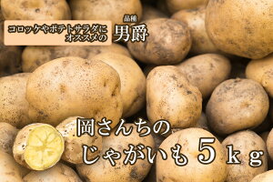 【ふるさと納税】佐賀県みやき町岡さんちのじゃがいも(男爵)5kg(BE014)