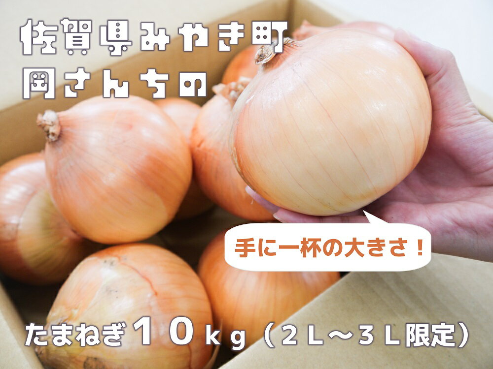 【ふるさと納税】佐賀県みやき町岡さんちのたまねぎ10kg（2L～3Lサイズ限定）(BE018)