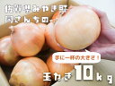 【ふるさと納税】佐賀県みやき町岡さんちのたまねぎ10kg 「2L、3Lサイズ」(BE023)