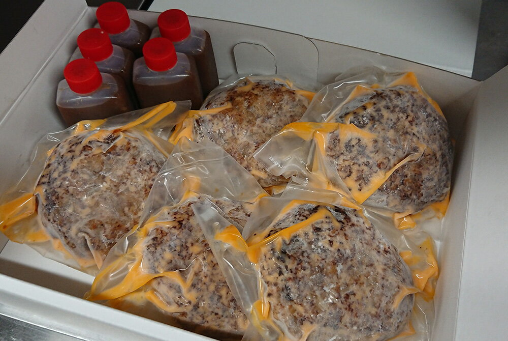 【ふるさと納税】佐賀牛ハンバーグ 10個(和風ソース付)（DV086）