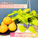 【ふるさと納税】さがんルビー 5kg(グレープフルーツ)(DV139)