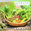 27位! 口コミ数「0件」評価「0」オーガニック葉物野菜セット【植物性で育てた完全無農薬の葉野菜ブランド有機JAS】（CQ019）