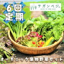 27位! 口コミ数「0件」評価「0」【定期便】オーガニック葉物野菜セット【植物性で育てた完全無農薬の葉野菜ブランド有機JAS】 6回定期便（CQ020）