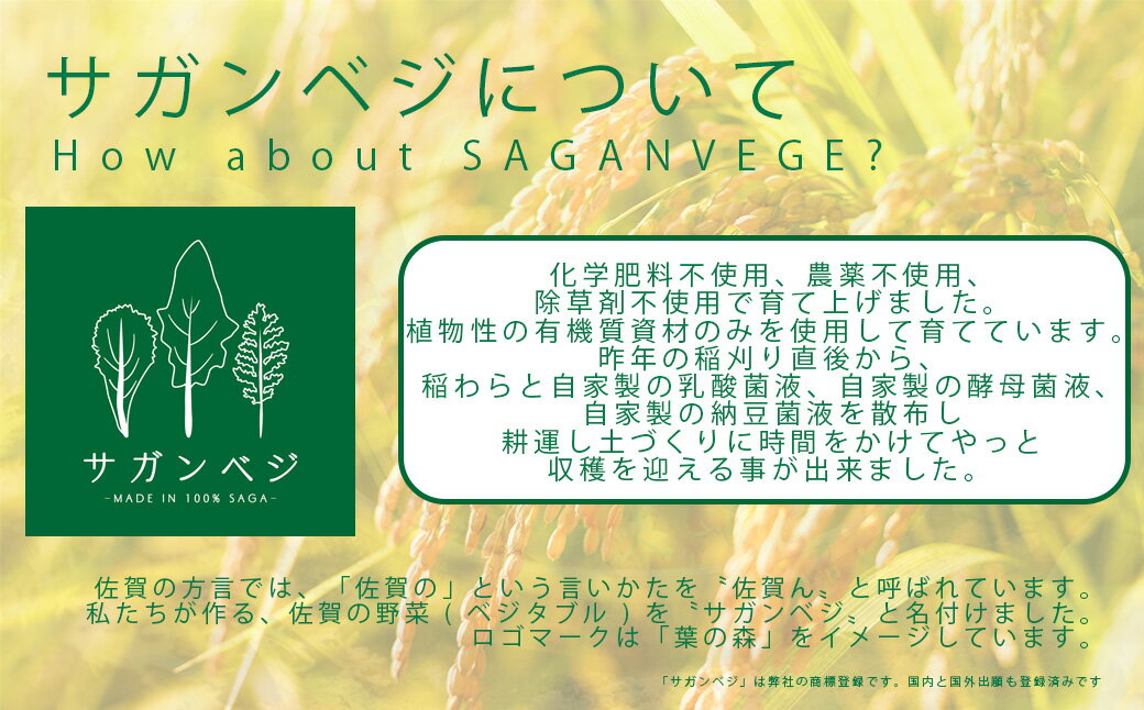 【ふるさと納税】ビーガン米10kg　白米【植物性で育てた完全無農薬のサガンベジブランド】（CQ009）