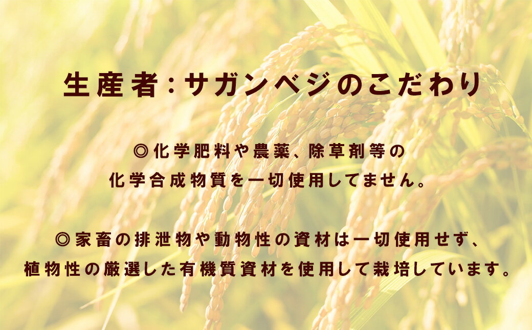 【ふるさと納税】【12か月定期便】ビーガン米20kg　白米【植物性で育てた完全無農薬のサガンベジブランド】（CQ032） 3