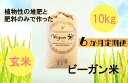 【ふるさと納税】【6か月定期便】ビーガン米10kg　玄米【植物性で育てた完全無農薬のサガンベジブランド】（CQ029）