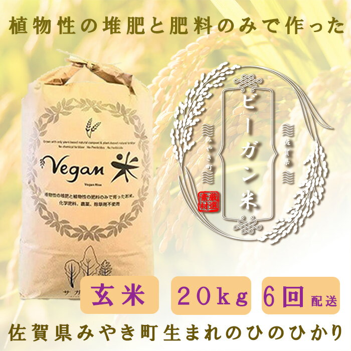 【ふるさと納税】【6か月定期便】ビーガン米20kg 玄米【植物性で育てた完全無農薬のサガンベジブランド】(CQ033)