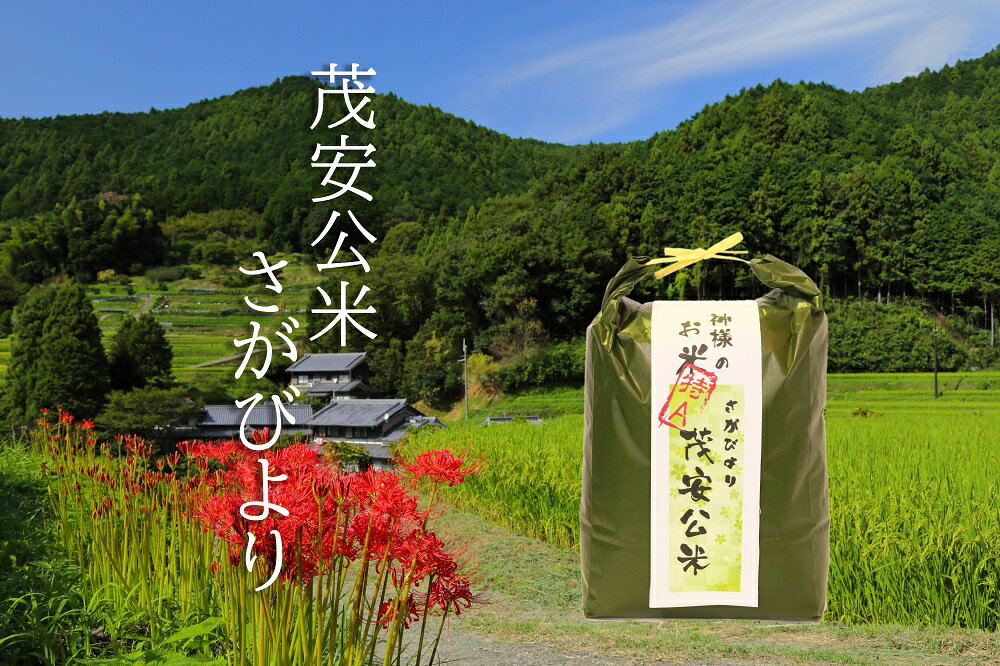 茂安公米 5kg みやき町産 さがびより 佐賀県産 白米 精米