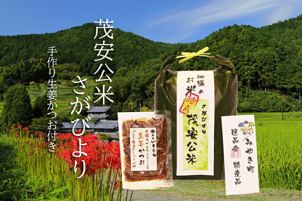 茂安公米5kg・みやき町産さがびより 生姜かつお(60g)セット 佐賀県産 白米