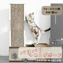 【ふるさと納税】トンネル型猫の爪とぎ(ウォールナット調)紙 段ボール ペット用品 ストレス解消 玩具 猫のおもちゃ ねこ ネコ 爪研ぎ つめとぎ エコ ストレス...