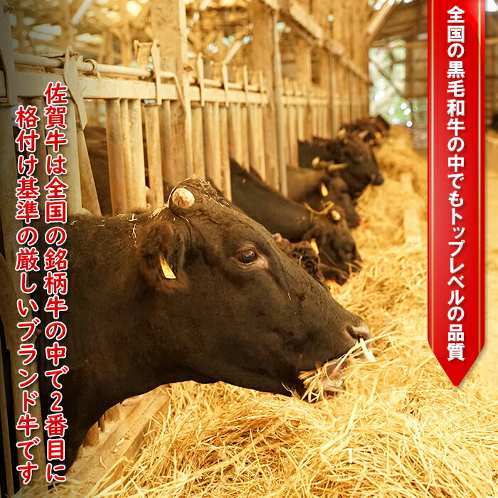 【ふるさと納税】中山牧場 佐賀牛赤身スライス 1kg