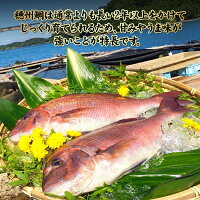 【ふるさと納税】今夜は高級鯛しゃぶセット