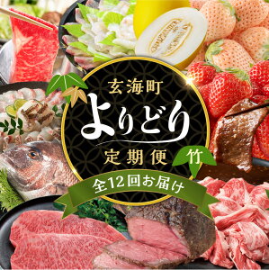 【ふるさと納税】玄海町よりどり定期便(竹)【毎月1回計12回配送】 \レビューキャンペーン実施中/