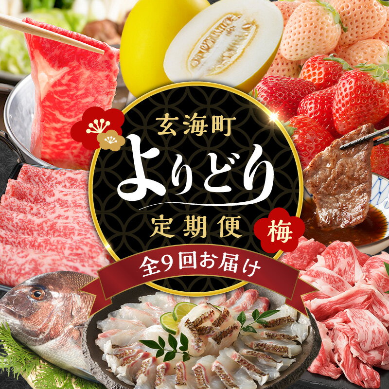 玄海町よりどり定期便(梅)[年9回配送] ＼レビューキャンペーン実施中/