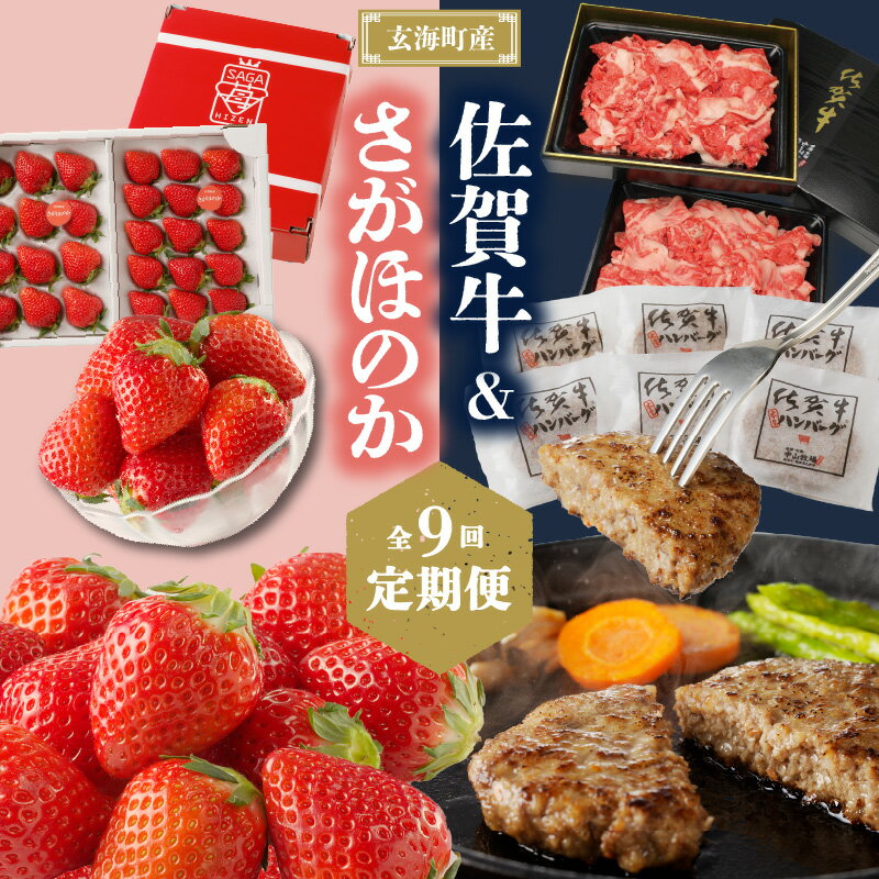 玄海町産さがほのか&佐賀牛定期便[9回] ＼レビューキャンペーン実施中/