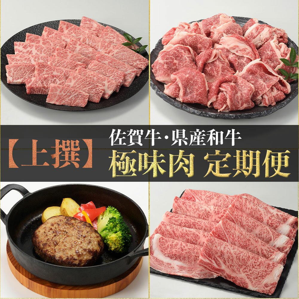 [上撰]佐賀牛・県産和牛 極味肉定期便(毎月1回 計12回配送)