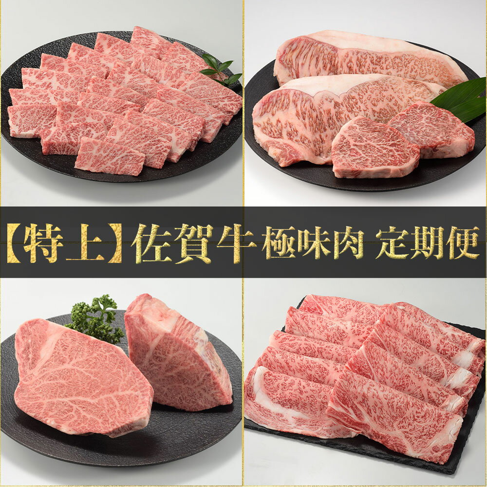 【特上】佐賀牛　極味肉定期便