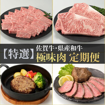 【特撰】佐賀牛・県産和牛　極味肉定期便（毎月1回　計12回配送）