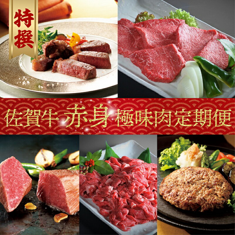 【ふるさと納税】【特撰】佐賀牛-赤身-極味肉定期便（毎月1回