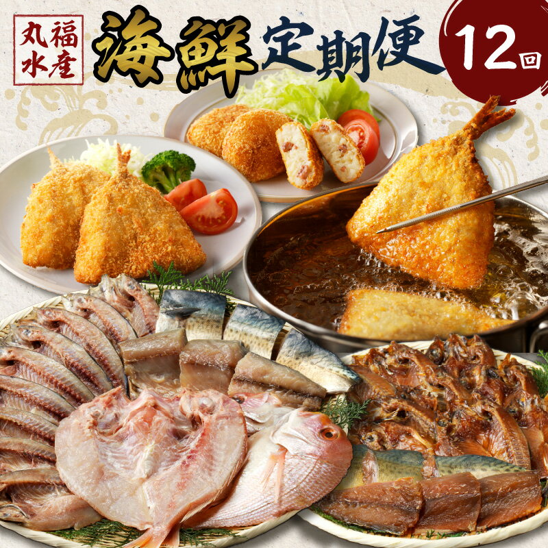 ڤդ뤵Ǽǡ۴ʡ建ء12 ӥ塼ڡ»桿