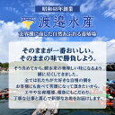 佐賀県玄海町の画像3