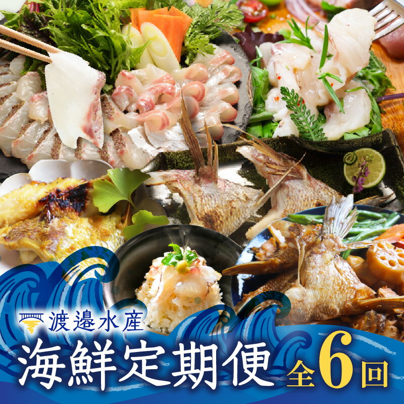 【ふるさと納税】渡邉水産・海鮮定期便（6回）