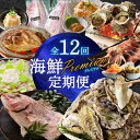 【ふるさと納税】海鮮Premium定期便(12回) \レビューキャンペーン実施中/
