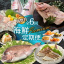 【ふるさと納税】海鮮Premium定期便(6回/偶数月)/鯛 真鯛 鯛茶漬け チャンジャ 味噌バター 明太 鯛めし カマ タタキ たたき 海鮮 偶数月 定期便 ...