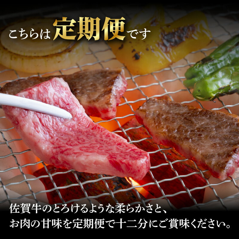 【ふるさと納税】トップブランド牛「佐賀牛カルビ焼肉用」定期便（全6回配送）