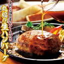 【ふるさと納税】丸福 ハンバーグ(10個入り)